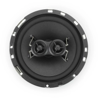 RETROMOD™ NEO-SERIES 6.5'' 100-WATTS DUAL VOICE COIL SPEAKER 