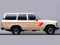 YARRA BODY STRIPE KIT : TOYOTA LAND CRUISER J60