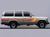 TWEED BODY STRIPES KIT : TOYOTA LAND CRUISER J60