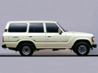 WHITE LIGHTNING BODY STRIPE KIT : TOYOTA LAND CRUISER 60-SERIES