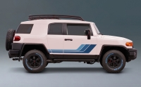 SEATTLE BODY STRIPE KIT : FJ CRUISER