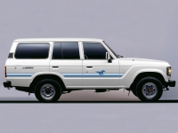 WARWICK BODY STRIPE KIT : TOYOTA LAND CRUISER 60-SERIES